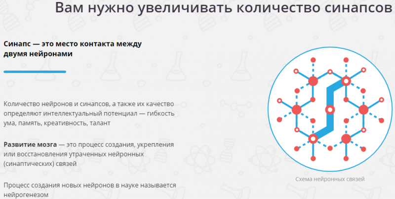 особенности развития мозга